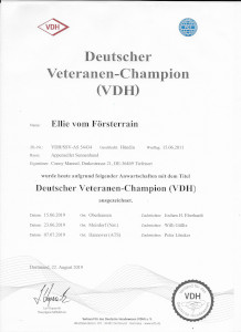 Ellie VDH Veteranenchampion